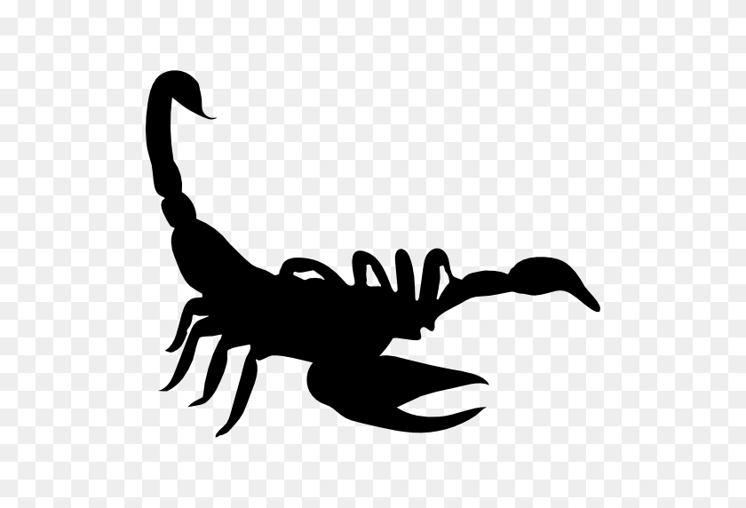 Scorpion Shape - Scorpion PNG - FlyClipart