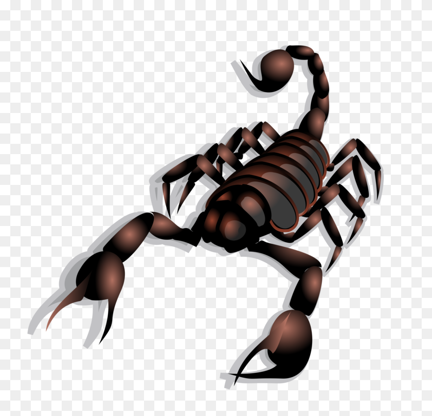 750x750 Scorpion Sting Arachnid Turtle The Scorpion - Sting PNG