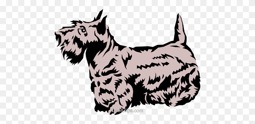 480x351 Scottish Terrier Libre De Regalías Vector Clipart Ilustración - Clipart Escocés