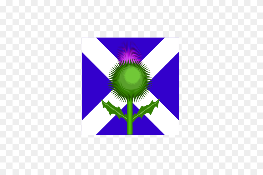 353x500 Шотландский Чертополох И Флаг - Векторное Изображение Флага Пуэрто-Рико Клипарт