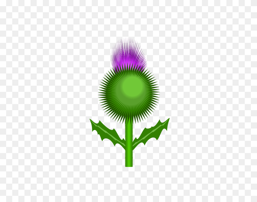 424x600 Scottish Thistle Png Clip Arts For Web - Thistle Clipart