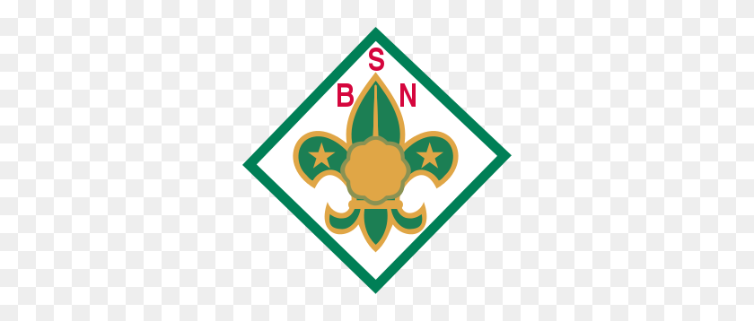 300x298 Asociación De Scouts De Japón - Boy Scout Emblem Clipart