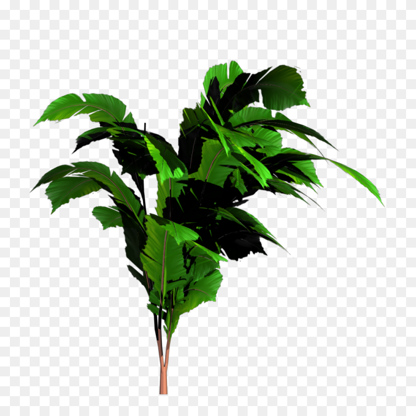 1024x1024 Script Library - Tropical Leaf PNG