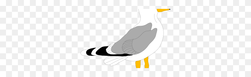 300x200 Scroll Clip Art Png Png Image - Seagull PNG