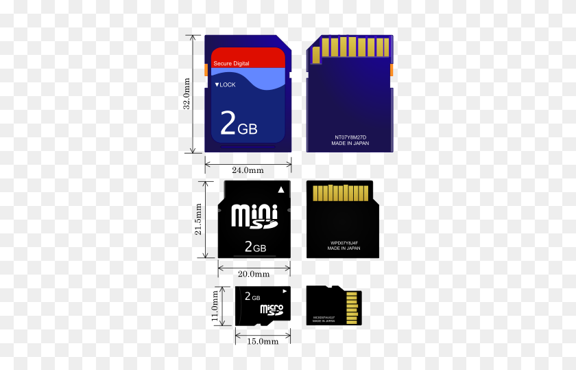 317x479 Sd Cards - Sd Card PNG