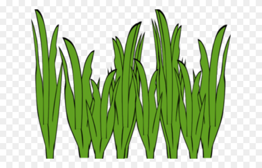 640x480 Sea Grass Clipart Garden Grass - Lawn Mower Clipart