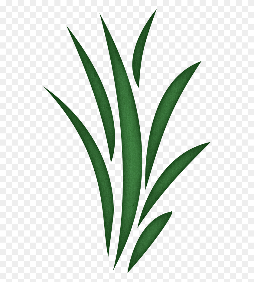 Grass - find and download best transparent png clipart images at ...