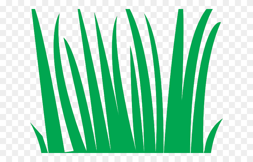 640x480 Sea Grass Clipart Ocean Plant - Grass Clipart Transparent Background