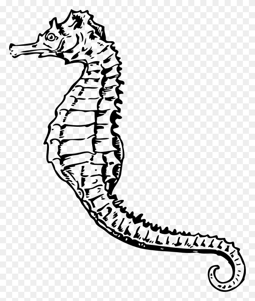 999x1192 Sea Horse Clipart Black And White - Coral Reef Clipart Black And White