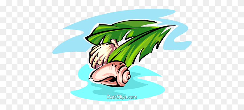480x319 Sea Shells Royalty Free Vector Clip Art Illustration - Sea Grass Clipart