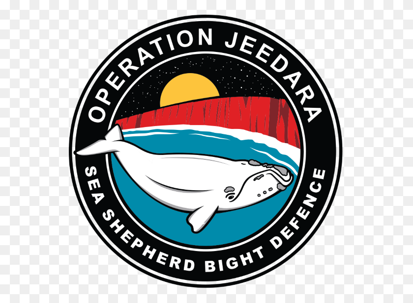 559x558 Sea Shepherd Global - Beluga Whale Clipart