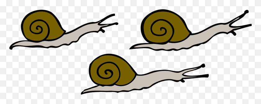 2113x750 Sea Snail Seashell Download Land Snail - Clipart Land