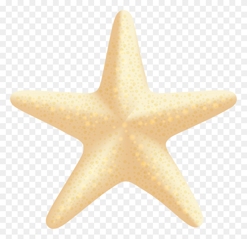 8000x7752 Sea Star Png Clip Art - Starfish PNG