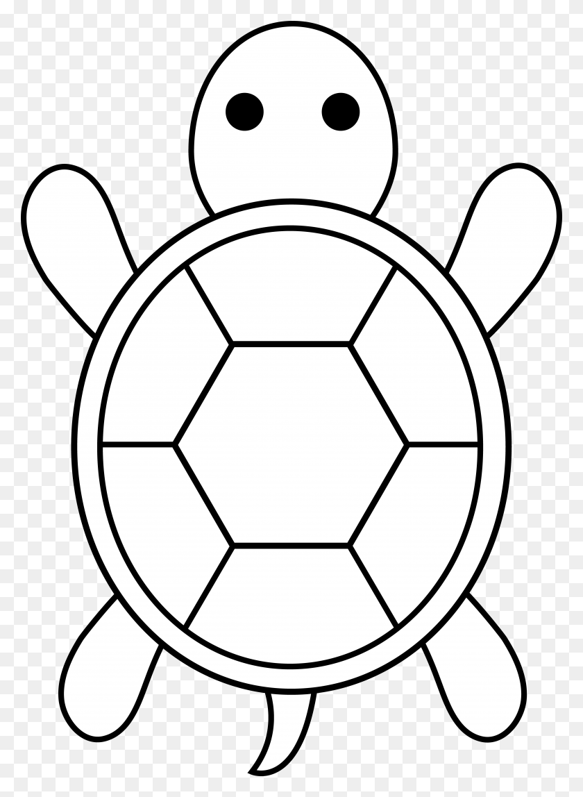 5178x7226 Sea Turtle Clipart Black And White - Pansy Clipart