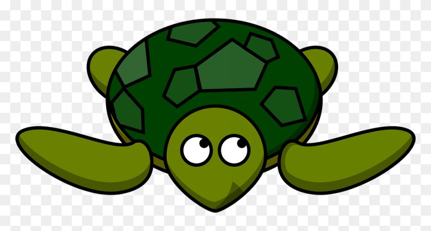 960x480 Sea Turtle Clipart Group With Items - Sea Urchin Clipart
