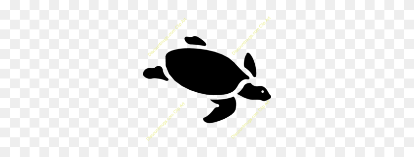 260x260 Морские Черепахи Яйца Клипарт - Изображения Черепахи Картинки