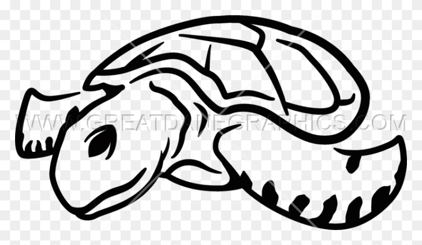 825x454 Sea Turtle Production Ready Artwork For T Shirt Printing - Sea Turtle Clipart PNG