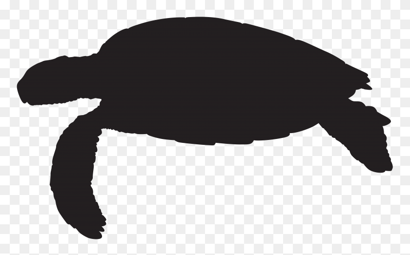 8000x4756 Sea Turtle Silhouette Png Clip Art - Sea Turtle Clipart