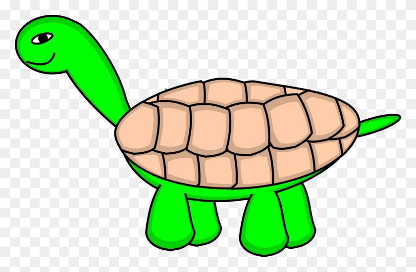 1192x750 Sea Turtle Tortoise Cartoon Animated Series - Sea Turtle Clipart PNG