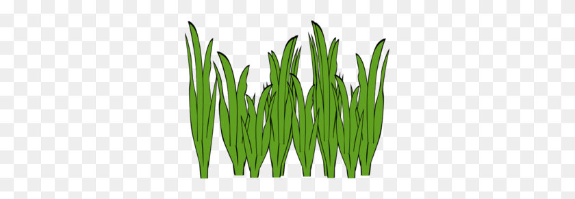 299x231 Seagrass Clip Art - Blades Of Grass Clipart