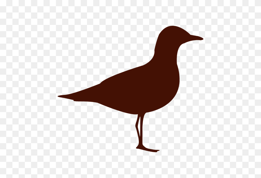 512x512 Seagull Bird Silhouette - Seagull PNG