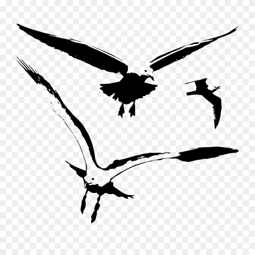 800x800 Seagull Birds Vector Silhouette Free Vector Silhouette Graphics - Seagull PNG