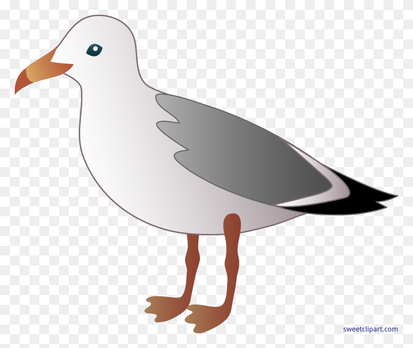 7458x6204 Seagull Clip Art - Mourning Clipart