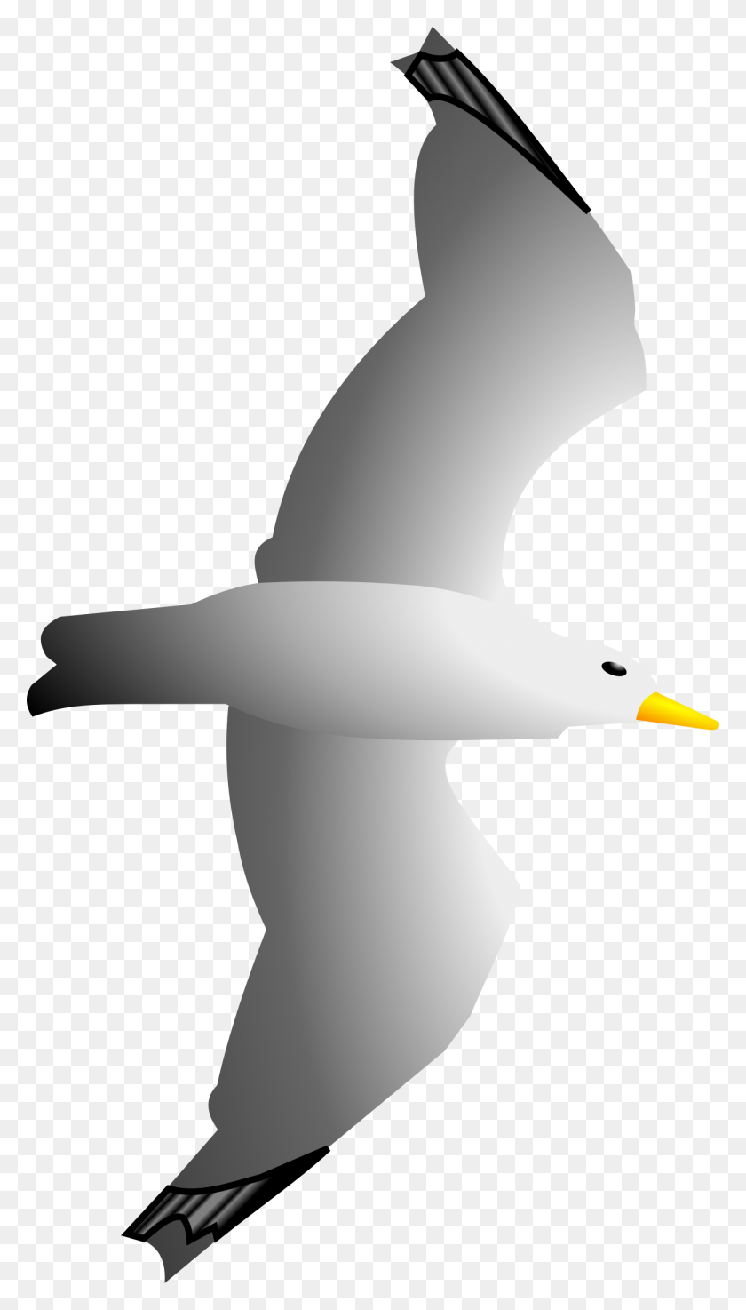 1323x2400 Seagull Clipart Clip Art Library - Seagull Clipart