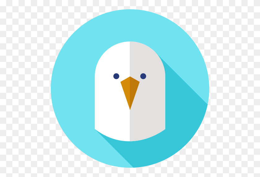 512x512 Seagull Png Icon - Seagull PNG