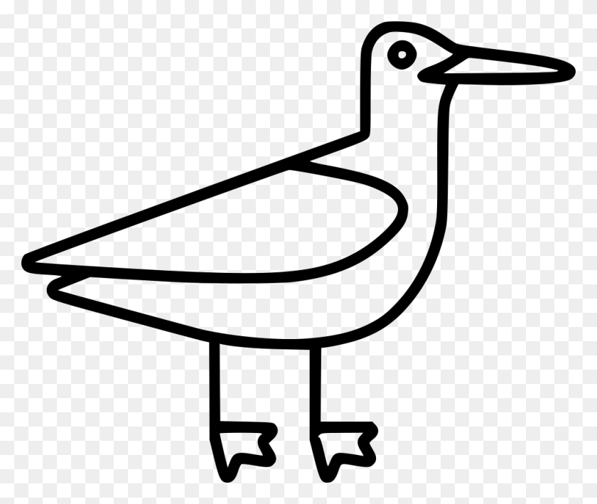 980x816 Seagull Png Icon Free Download - Seagull PNG