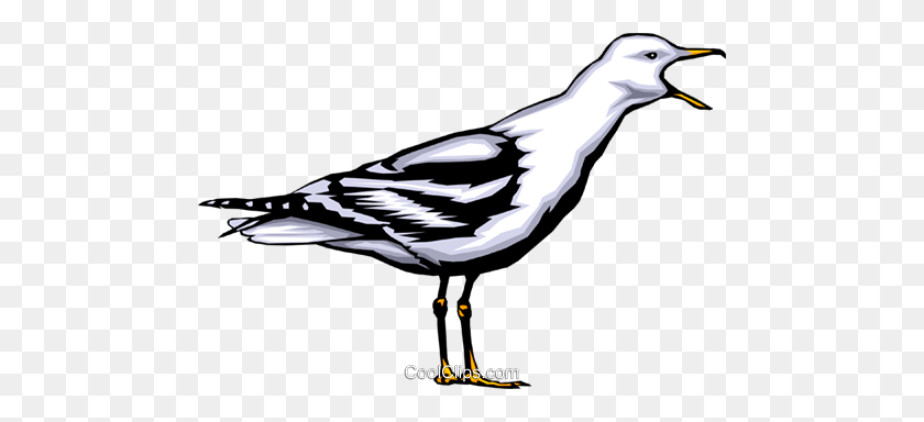 480x324 Seagull Royalty Free Vector Clip Art Illustration - Seagull Clipart
