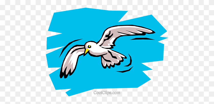 480x349 Seagull Royalty Free Vector Clip Art Illustration - Seagull Clipart