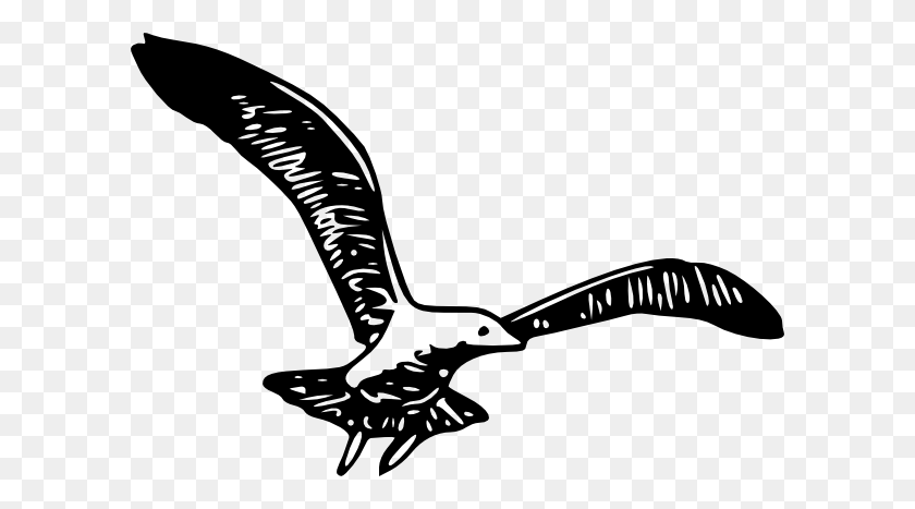 600x407 Seagull Wing Cliparts - Wings Clipart Black And White