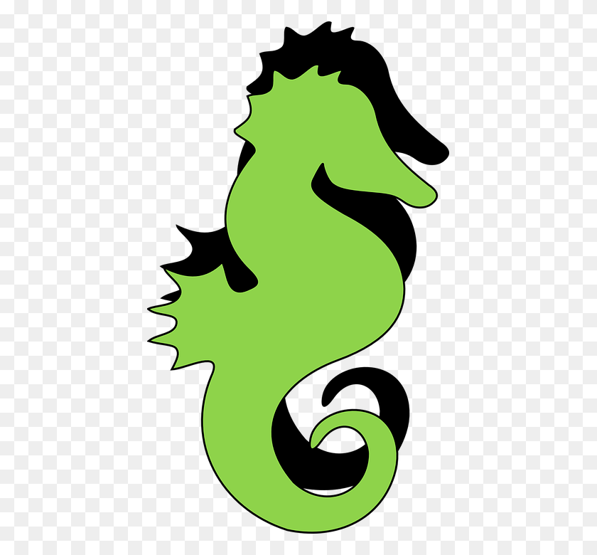 425x720 Seahorse Png - Seahorse PNG