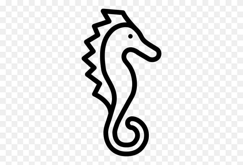 512x512 Seahorse Png Icon - Seahorse PNG