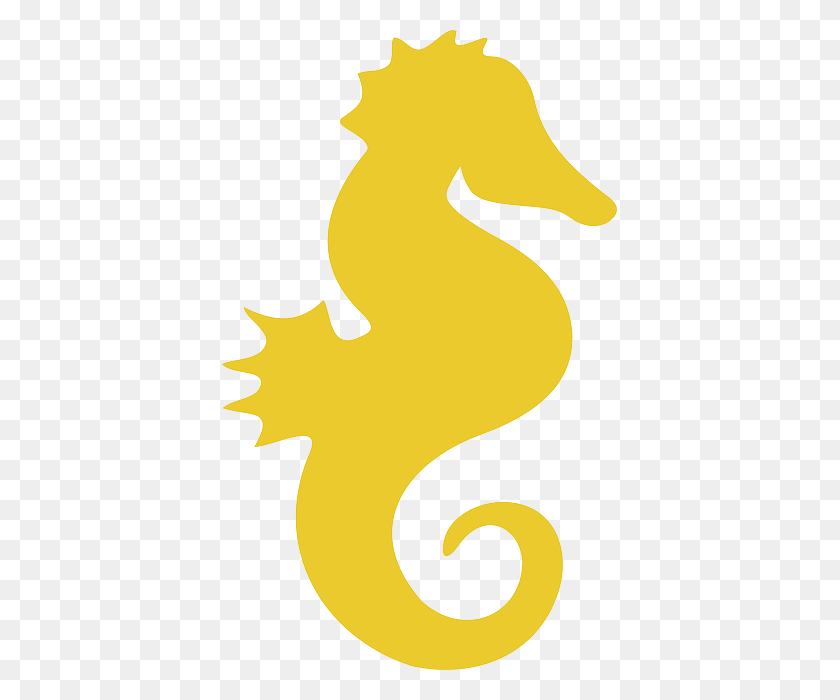 395x640 Seahorse Png Images Free Download - Seahorse PNG