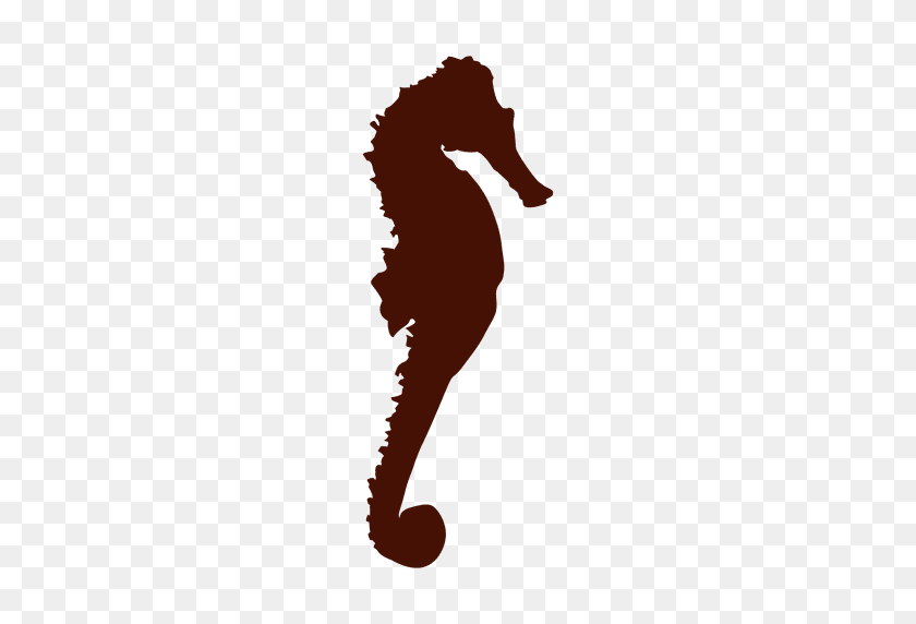512x512 Seahorse Silhouette - Seahorse PNG