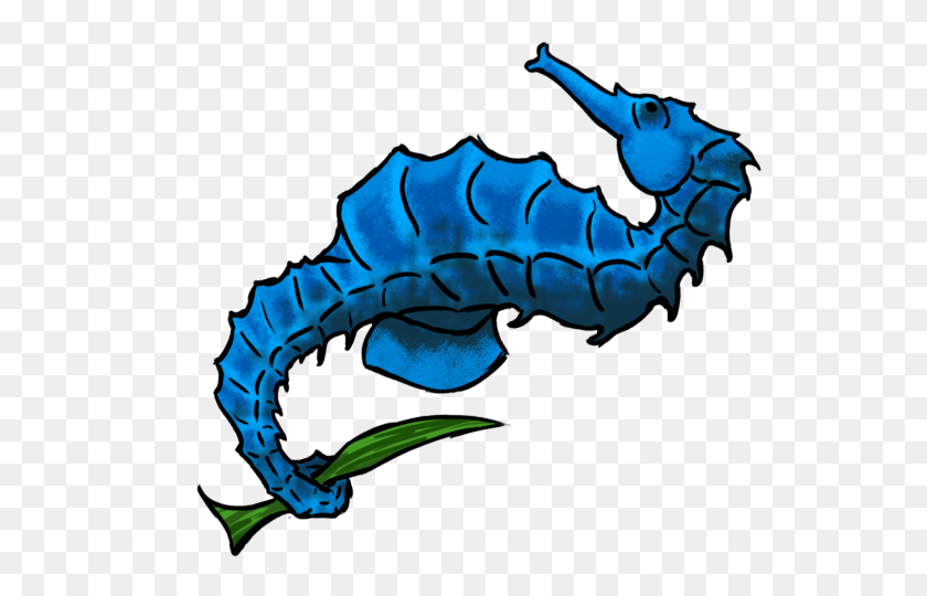 640x480 Seahorse Transparent Png Pictures - Seahorse PNG