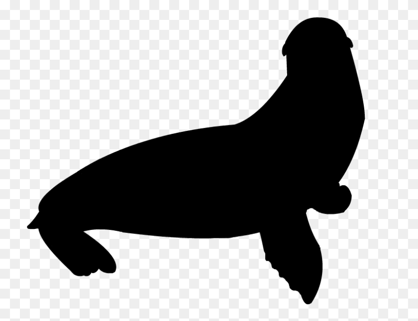 800x600 Seal Clipart Silhouette - Sperm Whale Clipart