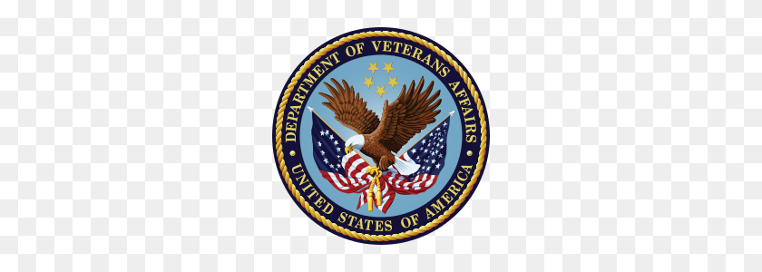 240x240 Seal Of The U S Department Of Veterans Affairs - Veteran PNG