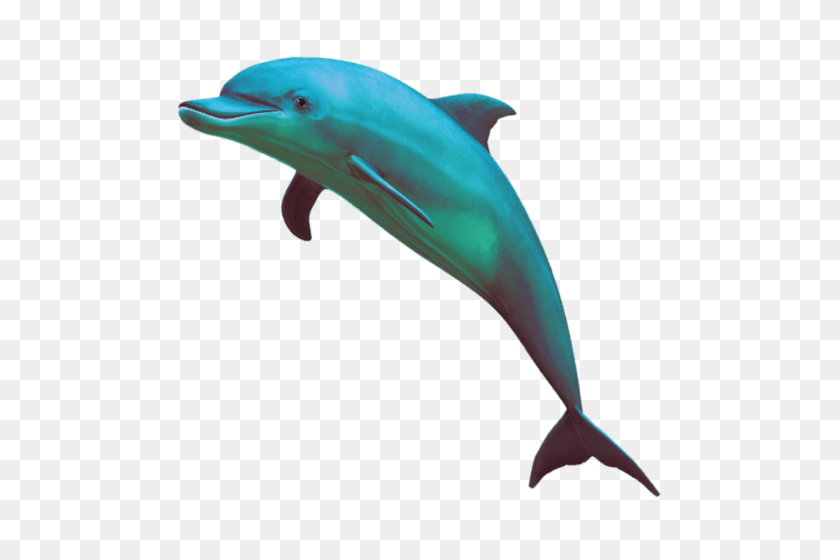 500x500 Дельфин Seapunk - Клипарт Vaporwave