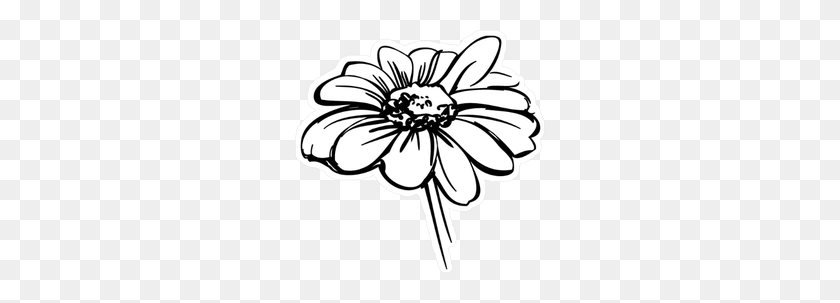 250x243 Search Results - Flower Sketch PNG