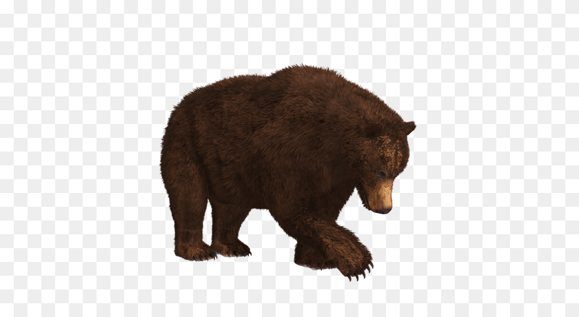 400x400 Searching Bear Bear Transparent Png Images Bear - Grizzly Clipart