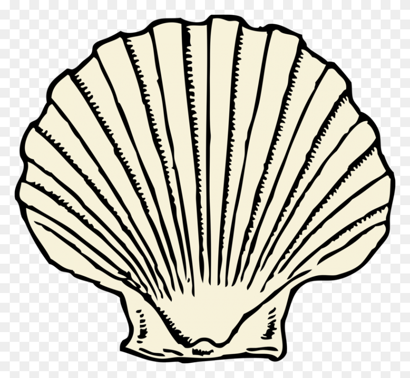 819x750 Seashell Conch Download Shell Beach Coloring Book - Conch Clipart