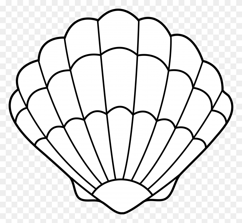 6142x5628 Seashell Lineart - Ceiling Clipart