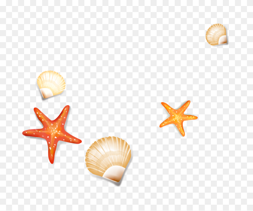 1186x976 Seashells Starfish Sea Ocean Beach Oceanlife Ftesticker - Conch Shell PNG