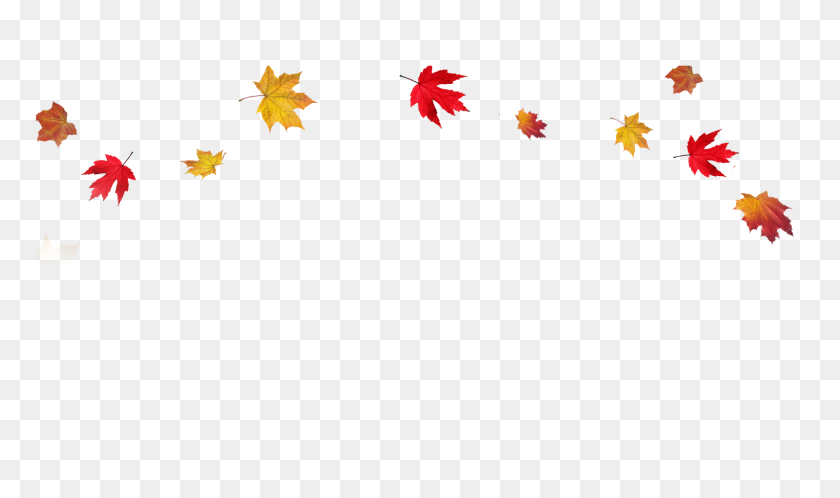 1600x900 Сезонный Уход За Лицом Долина Спокан Лазурная Эстетика - Осенние Листья Границы Png