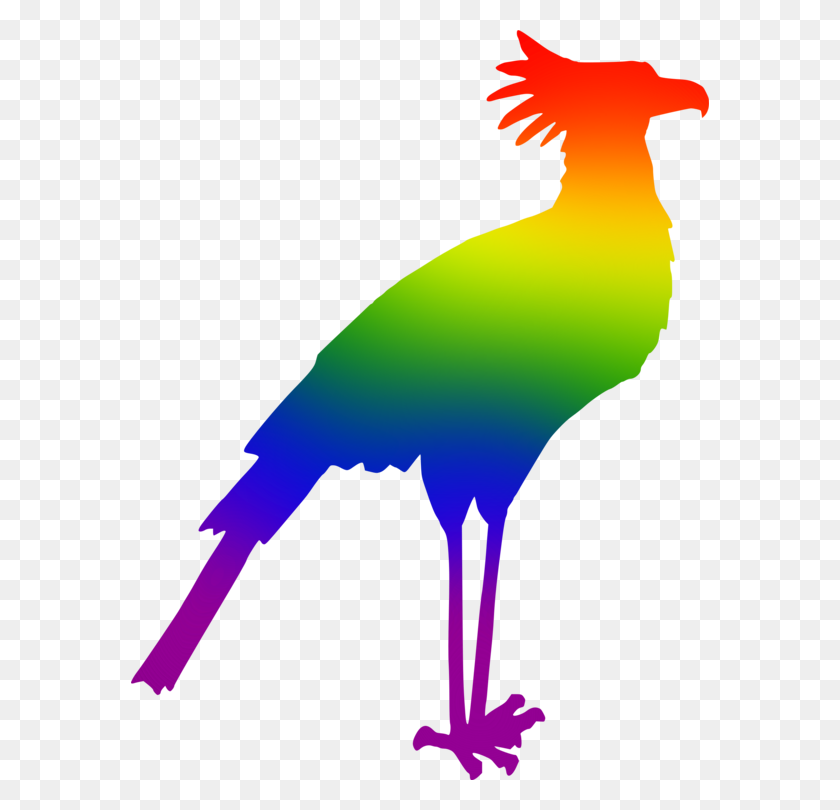 578x750 Secretarybird Silhouette Drawing Cygnini - Woodpecker Clipart