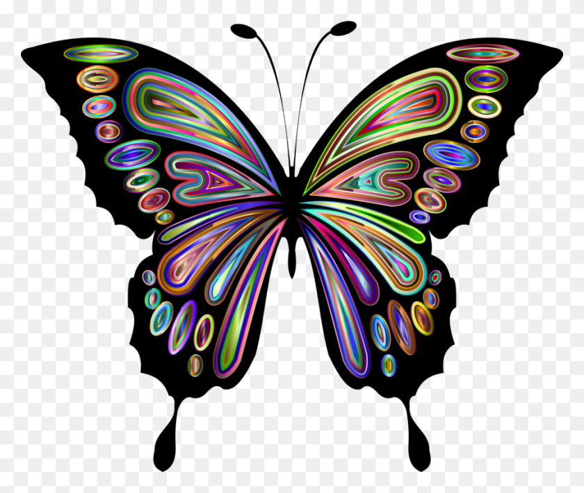 899x750 Увидеть Бабочку Бабочка Монарх Скачать Животных Бесплатно - Посмотреть Клипарт