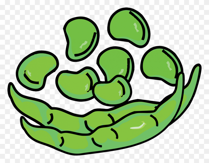 800x613 Seed Clipart Long Bean - Planting Seeds Clipart